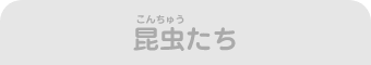 昆虫たち
